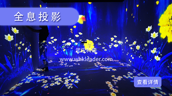 全息投影.jpg