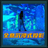 全息沉浸式投影