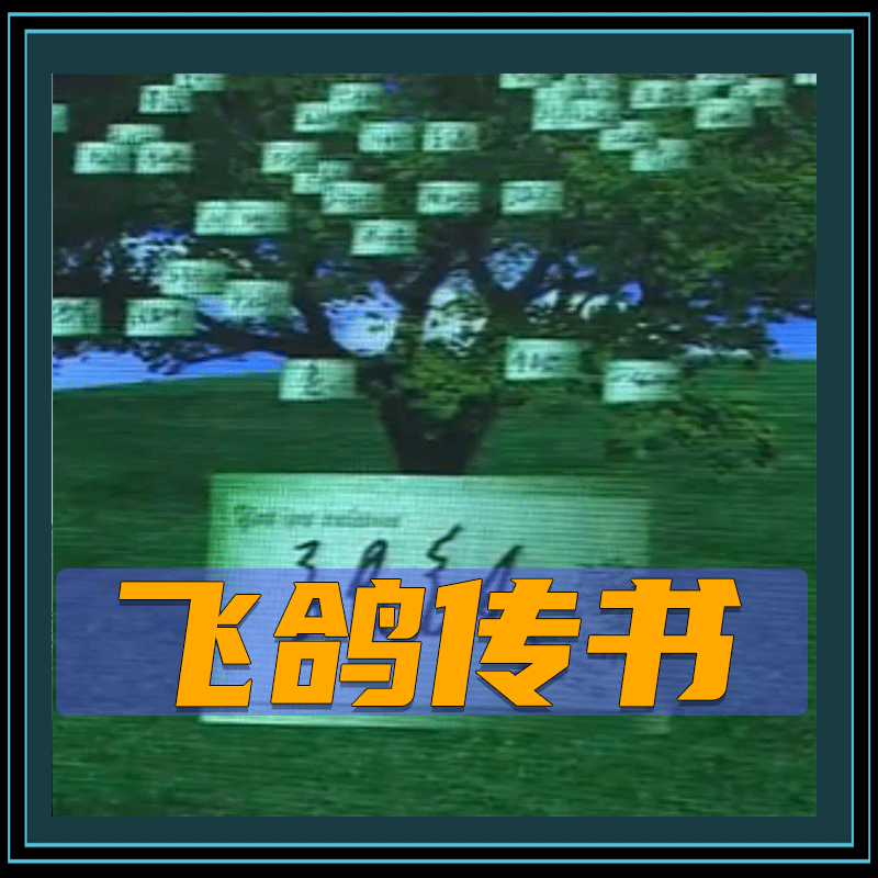 飞鸽传书